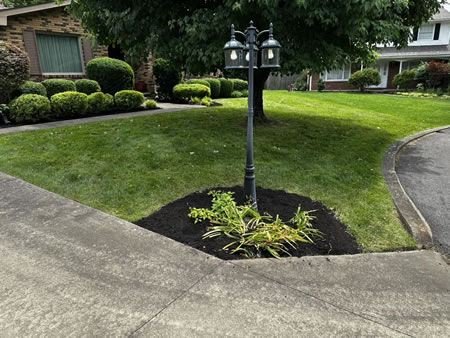 Mulch Depth, Color, and Timing: A Homeowner’s Guide for Portsmouth Beds
