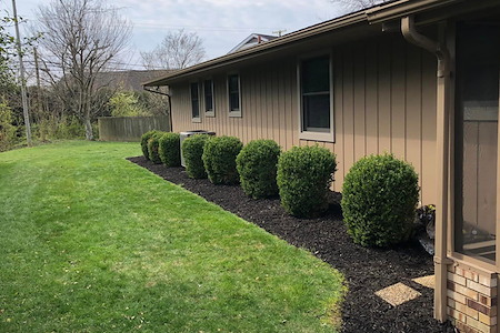 Mulch vs. Rock: Choosing the Right Option for Portsmouth Flower Beds and Trees